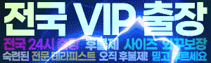 전국vip출장