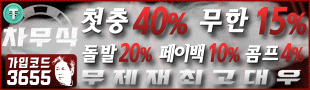 차무식벳